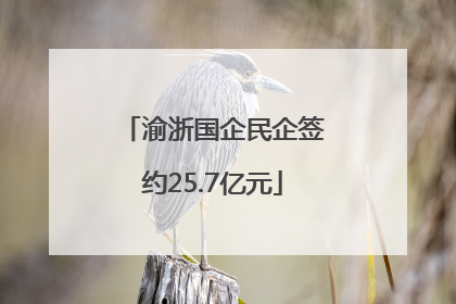 渝浙国企民企签约25.7亿元