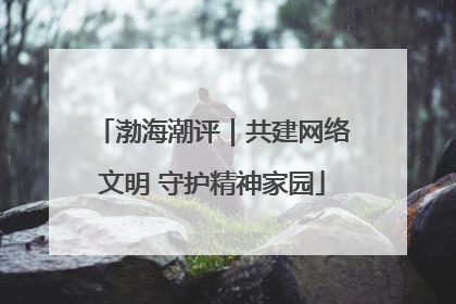 渤海潮评｜共建网络文明 守护精神家园
