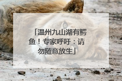 温州九山湖有鳄鱼！专家呼吁：请勿随意放生