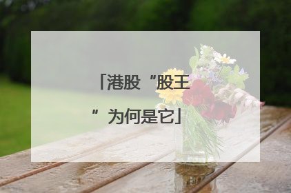 港股“股王”为何是它