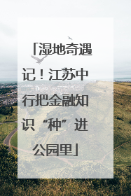 湿地奇遇记！江苏中行把金融知识“种”进公园里
