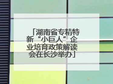 湖南省专精特新“小巨人”企业培育政策解读会在长沙举办