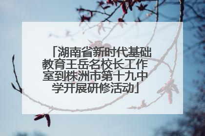 湖南省新时代基础教育王岳名校长工作室到株洲市第十九中学开展研修活动