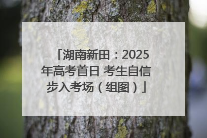 湖南新田：2025年高考首日 考生自信步入考场（组图）
