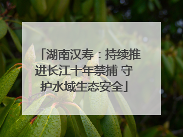 湖南汉寿：持续推进长江十年禁捕 守护水域生态安全
