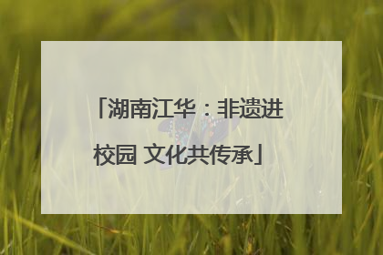 湖南江华：非遗进校园 文化共传承