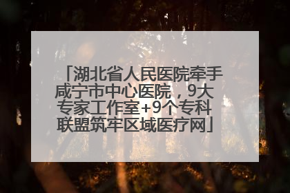 湖北省人民医院牵手咸宁市中心医院，9大专家工作室+9个专科联盟筑牢区域医疗网