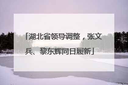 湖北省领导调整，张文兵、黎东辉同日履新