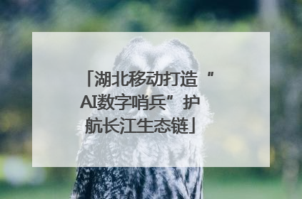 湖北移动打造“AI数字哨兵”护航长江生态链