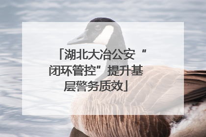 湖北大冶公安“闭环管控”提升基层警务质效