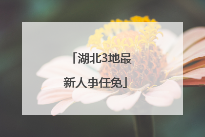 湖北3地最新人事任免