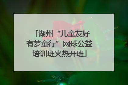 湖州“儿童友好 有梦童行”网球公益培训班火热开班