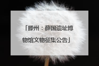 滕州：薛国遗址博物馆文物征集公告