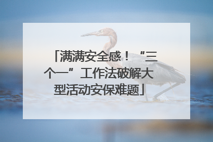 满满安全感！“三个一”工作法破解大型活动安保难题