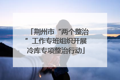 荆州市“两个整治”工作专班组织开展冷库专项整治行动