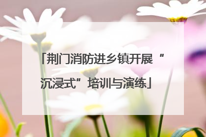 荆门消防进乡镇开展“沉浸式”培训与演练