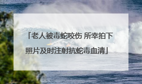 老人被毒蛇咬伤 所幸拍下照片及时注射抗蛇毒血清