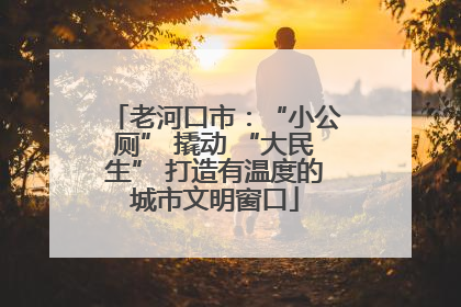 老河口市：“小公厕” 撬动 “大民生” 打造有温度的城市文明窗口