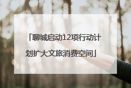 聊城启动12项行动计划扩大文旅消费空间