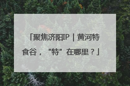 聚焦济阳IP｜黄河特食谷，“特”在哪里？