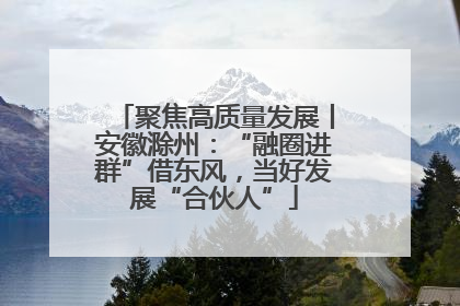 聚焦高质量发展丨安徽滁州：“融圈进群”借东风，当好发展“合伙人”