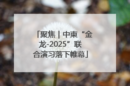 聚焦｜中柬“金龙-2025”联合演习落下帷幕