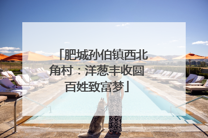 肥城孙伯镇西北角村：洋葱丰收圆百姓致富梦