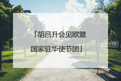 胡昌升会见欧盟国家驻华使节团