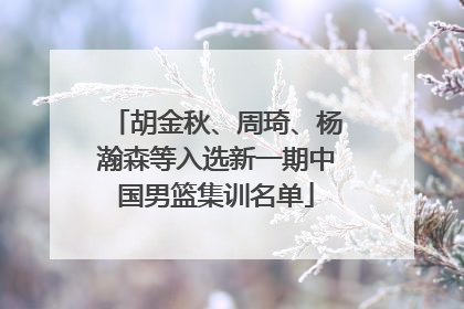 胡金秋、周琦、杨瀚森等入选新一期中国男篮集训名单