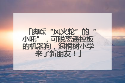 脚踩“风火轮”的“小吒”，可脱离遥控板的机器狗，泡桐树小学来了新朋友！