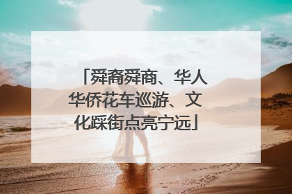 舜裔舜商、华人华侨花车巡游、文化踩街点亮宁远