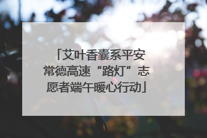 艾叶香囊系平安 常德高速“路灯”志愿者端午暖心行动