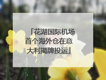 花湖国际机场首个海外仓在意大利揭牌投运