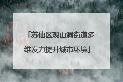 苏仙区观山洞街道多维发力提升城市环境