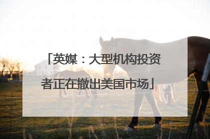 英媒：大型机构投资者正在撤出美国市场