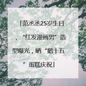 范丞丞25岁生日，“红发漫画男”造型曝光，晒“鹅十五”蛋糕庆祝