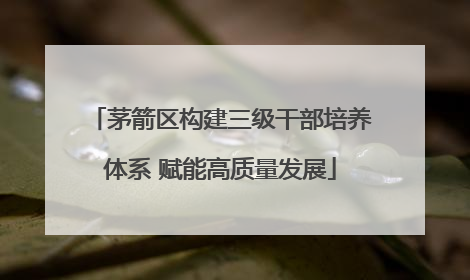 茅箭区构建三级干部培养体系 赋能高质量发展