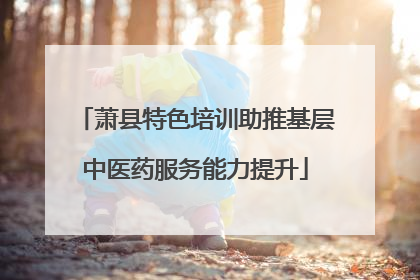 萧县特色培训助推基层中医药服务能力提升