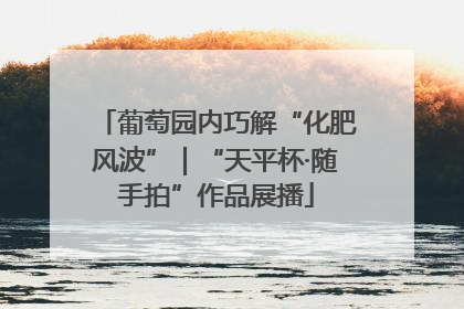 葡萄园内巧解“化肥风波”｜“天平杯·随手拍”作品展播