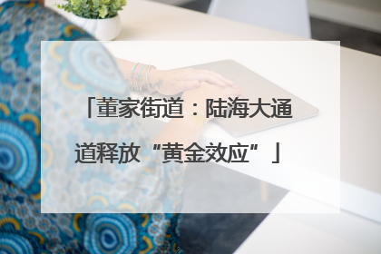 董家街道：陆海大通道释放“黄金效应”