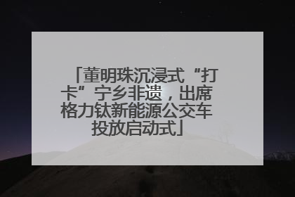 董明珠沉浸式“打卡”宁乡非遗，出席格力钛新能源公交车投放启动式