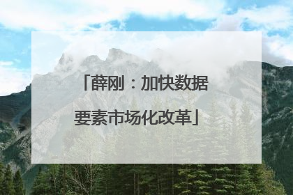 薛刚：加快数据要素市场化改革