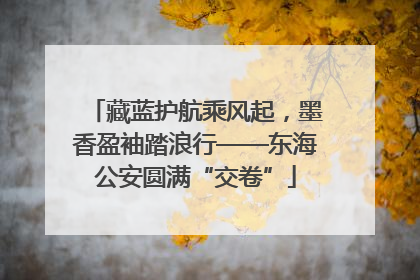 藏蓝护航乘风起，墨香盈袖踏浪行——东海公安圆满“交卷”