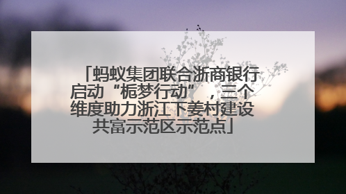 蚂蚁集团联合浙商银行启动“栀梦行动”，三个维度助力浙江下姜村建设共富示范区示范点