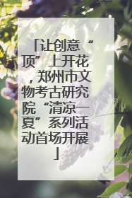让创意“顶”上开花，郑州市文物考古研究院“清凉一夏”系列活动首场开展