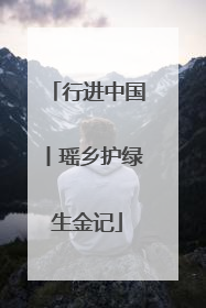 行进中国丨瑶乡护绿生金记