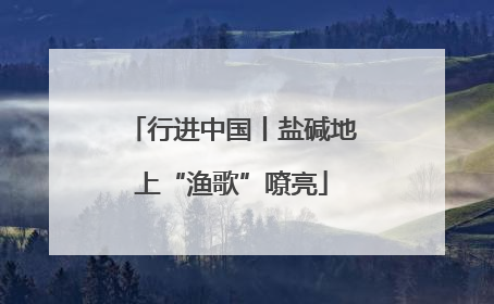 行进中国丨盐碱地上“渔歌”嘹亮