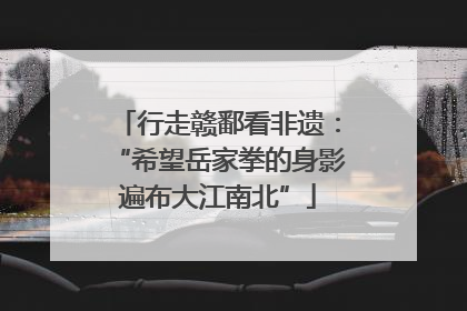 行走赣鄱看非遗：“希望岳家拳的身影遍布大江南北”
