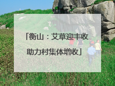衡山：艾草迎丰收 助力村集体增收
