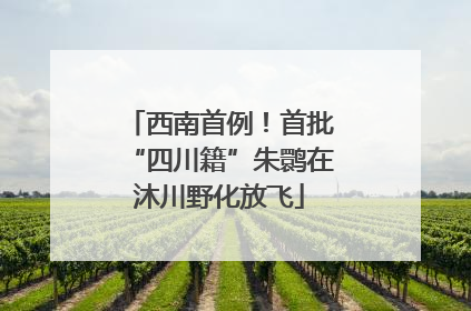 西南首例！首批“四川籍”朱鹮在沐川野化放飞